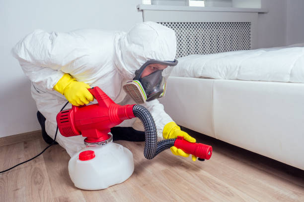 Best Residential Pest Control  in Arizona City, AZ
