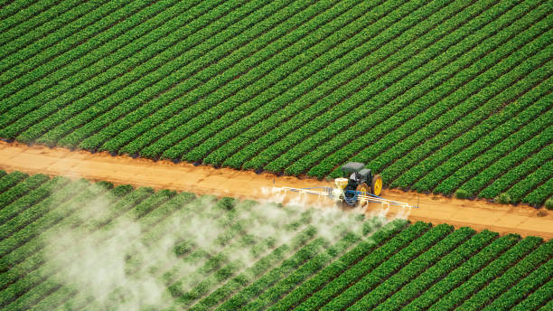 Best Mosquito Control Services  in Arizona City, AZ